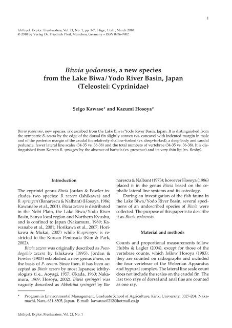 Biwia yodoensis, a new species from the Lake Biwa/Yodo River ...