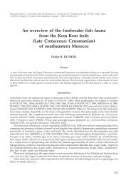 An overview of the freshwater fish fauna from the Kem Kem beds ...