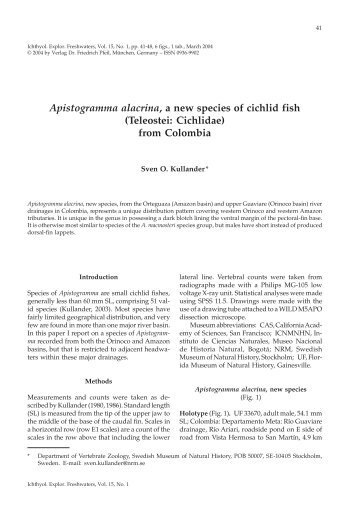 Apistogramma alacrina, a new species of cichlid fish - Verlag Dr ...