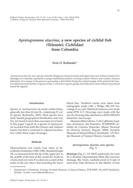 Apistogramma alacrina, a new species of cichlid fish - Verlag Dr ...