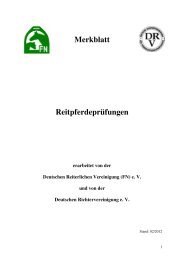 Merkblatt Reitpferdeprüfungen