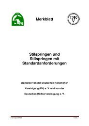 Merkblatt Stilspringen und Stilspringen mit Standardanforderungen