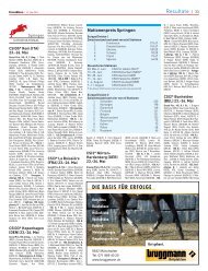 PW 14 - PferdeWoche