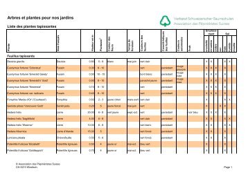 Plantes tapissantes - Pflanzanleitung