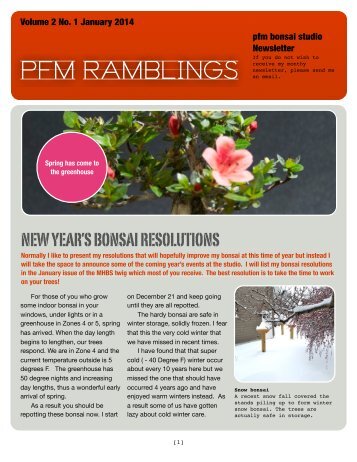 the current issue - PFM Bonsai Studio