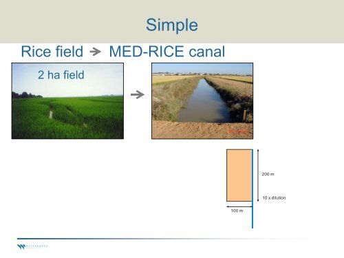 Higher Tier Rice Modeling for the EU - pfmodels