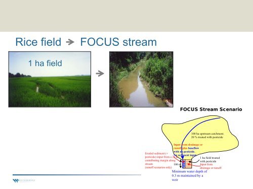 Higher Tier Rice Modeling for the EU - pfmodels