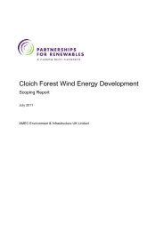 Scoping Report - Partnerships for Renewables