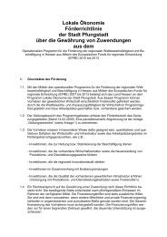 FÃ¶rderrichtlinie VorlÃ¤ufige Endfassung 100805 - Pfungstadt