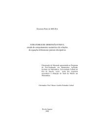 ATRATORES DE DIMENSÃO FINITA - Pós-Graduação IM - UFRJ