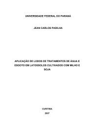 universidade federal do paranÃ¡ jean carlos padilha aplicaÃ§Ã£o de ...