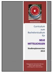 Curriculum zum Bachelorstudium für Hauptschulen / Neue ...