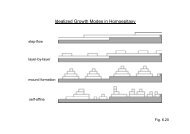 Idealized Growth Modes in Homoepitaxy