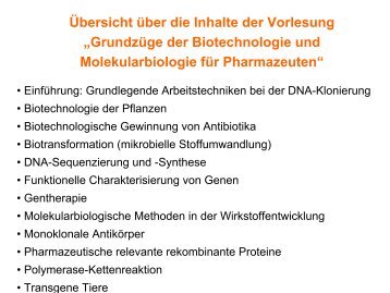 Prinzip der Herstellung von monoklonalen AntikÃ¶rpern - Pharmazie