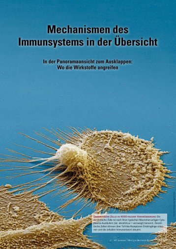 Mechanismen des Immunsystems in der Ãbersicht - Pharmazie