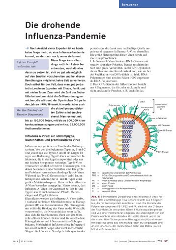 Die drohende Influenza-Pandemie - Pharmazie