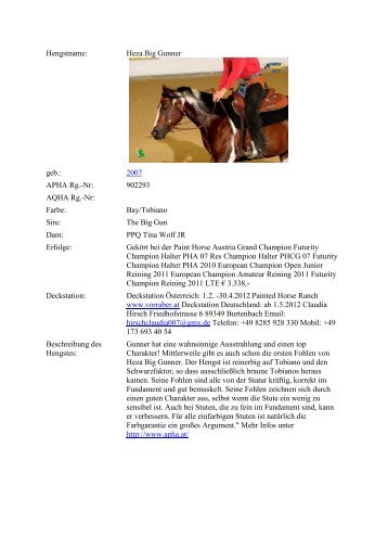 Hengstname: Heza Big Gunner geb.: 2007 APHA Rg.-Nr: 902293 ...