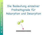 Die Bedeutung einzelner Freiheitsgrade für Adsorption und ...