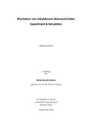 Wachstum von Alkylsiloxan-Monoschichten: Experiment & Simulation