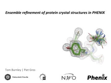 Ensemble refinement of protein crystal structures in PHENIX