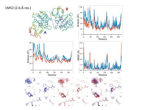 Ensemble refinement of protein crystal structures in PHENIX