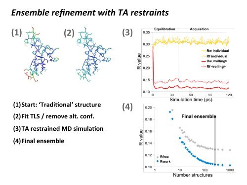 Ensemble refinement of protein crystal structures in PHENIX