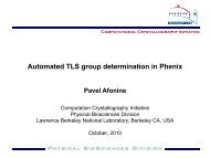 Automated model partitioning into TLS groups - Phenix