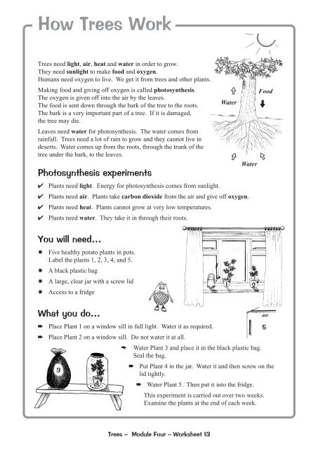 Worksheets for 5th & 6th Class - Phoenix Park