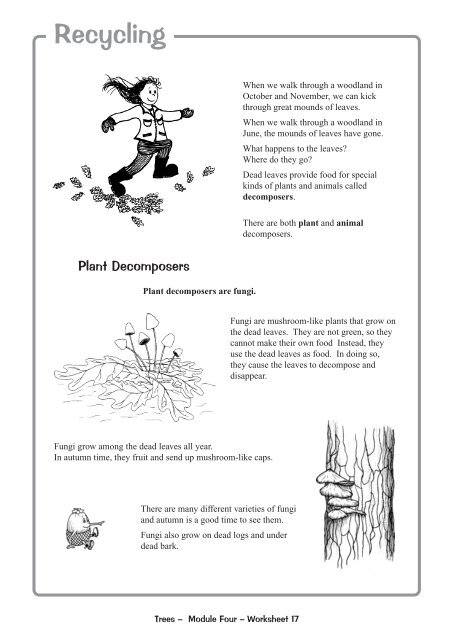 Worksheets for 5th & 6th Class - Phoenix Park