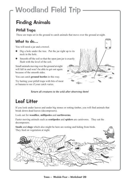 Worksheets for 5th & 6th Class - Phoenix Park