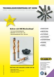 DD2 - Hartmetall-Werkzeugfabrik Paul Horn GmbH
