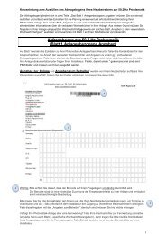 AusfÃ¼llhilfe zum Fragebogen (622 kB ) PDF - EnBW Regional AG