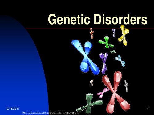 Genetic Disorders PPT