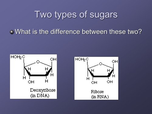 Organic Molecules