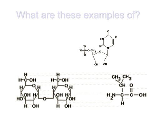 Organic Molecules