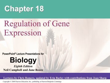 Regulation of Gene Expression