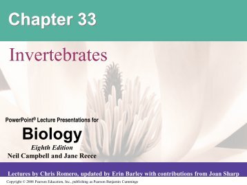 Ch 33 PPT