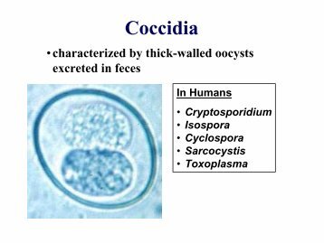 Cryptosporidium