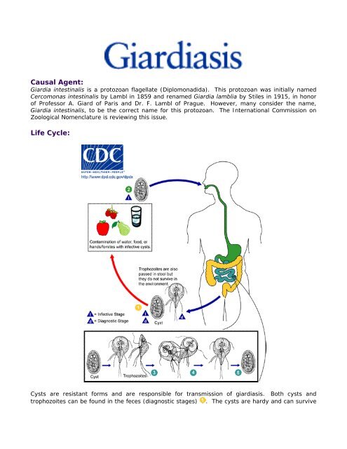 cdc giardiasis life cycle)