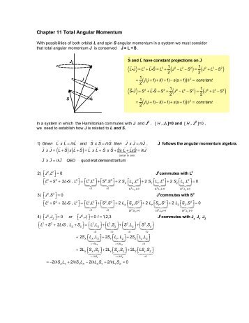 Chapter 11 Total Angular Momentum