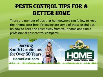 Pests control tips for a better home
