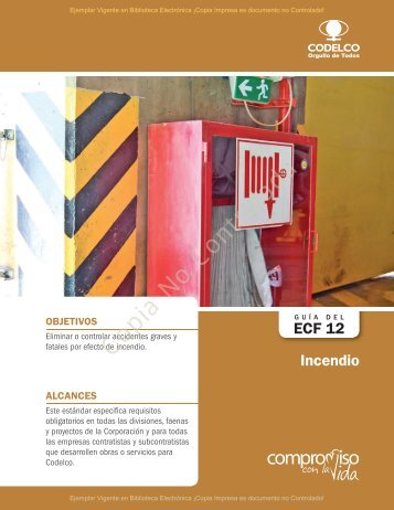 ESTANDAR DE CONTROL DE FATALIDADES 12 INCENDIO 