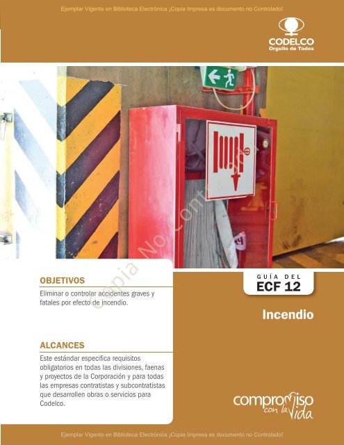 ESTANDAR DE CONTROL DE FATALIDADES 12 INCENDIO 