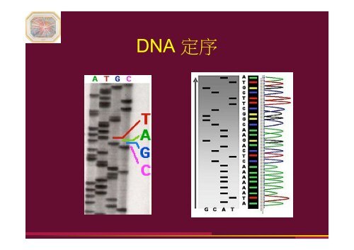 生活與物理－奈米生技 - 中研院物理研究所