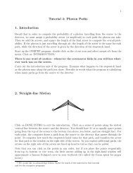 Tutorial 4: Photon Paths 1. Introduction 2. Straight-line ... - Physics