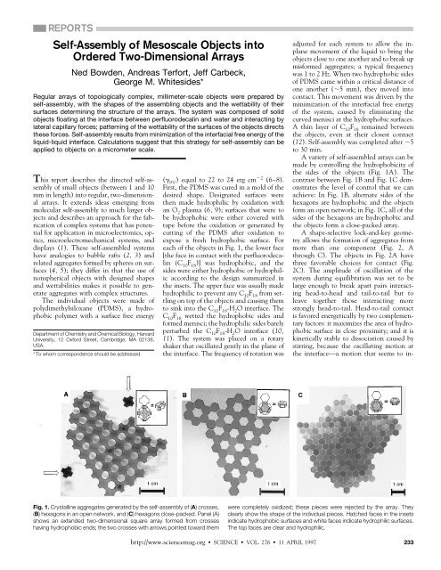Self-Assembly of Mesoscale Objects into Ordered Two-Dimensional ...