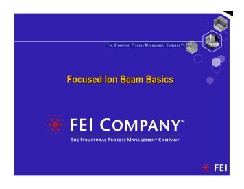 FEI Basic FIB