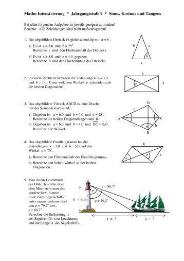 Mathe-Intensivierung * Jahrgangsstufe 9 * Sinus, Kosinus und ...