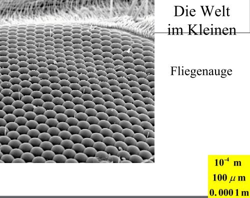 Zukunft der Teilchenphysik - Institut fÃ¼r Experimentelle Kernphysik