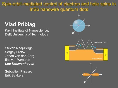 Spin-orbit-mediated control of electron and hole spins in InSb ...